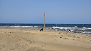 GC-Playa El Veril (Playa del Ingles) 2025-64.jpg